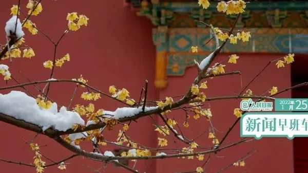 2022-1-25 新闻简讯