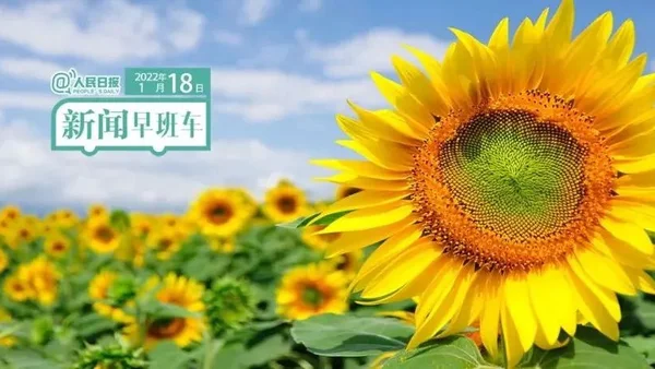 2022-1-18 新闻简讯