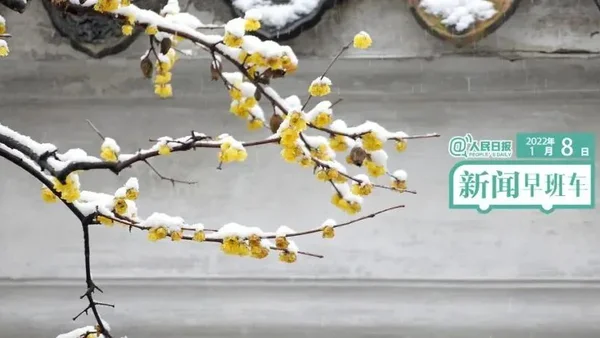 2022-1-8 新闻简讯
