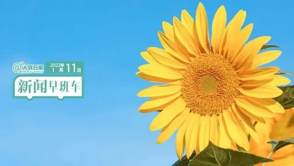 2022-1-11 新闻简讯