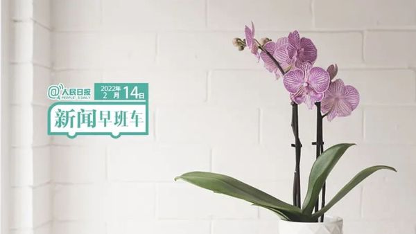 2022-2-14 新闻简讯
