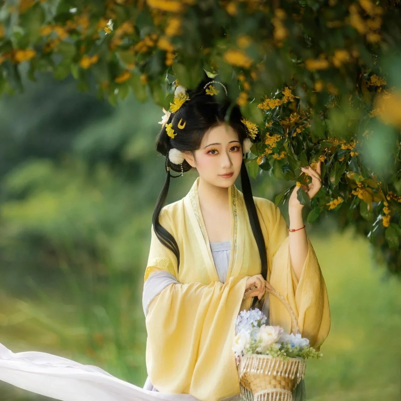 桂满香袖，衣染秋光｜桂树下的黄衫汉服写真 第1帧