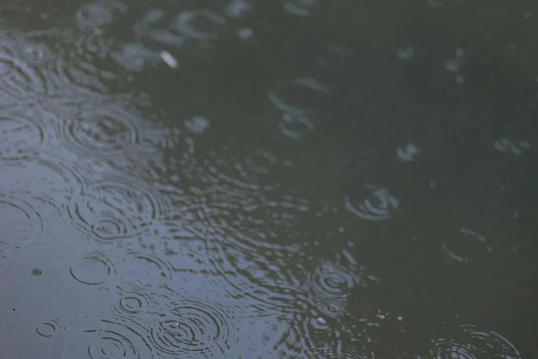 宿雨初霁