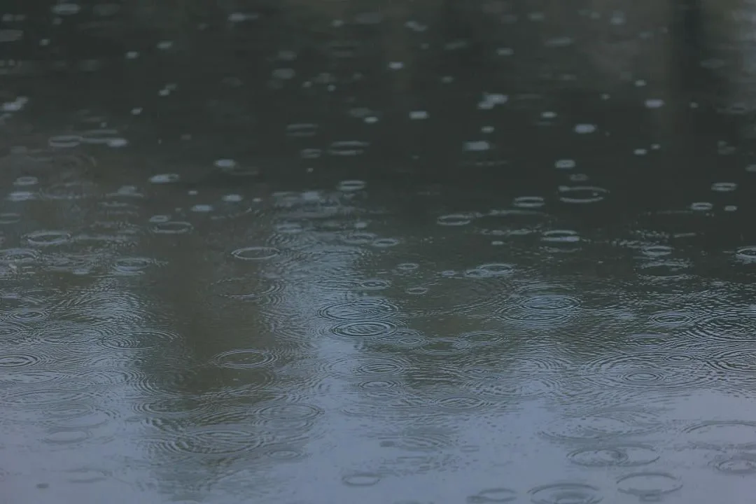宿雨初霁