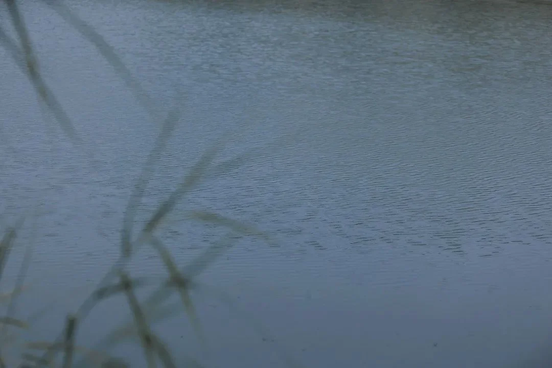 宿雨初霁