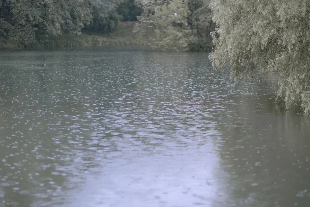 宿雨初霁