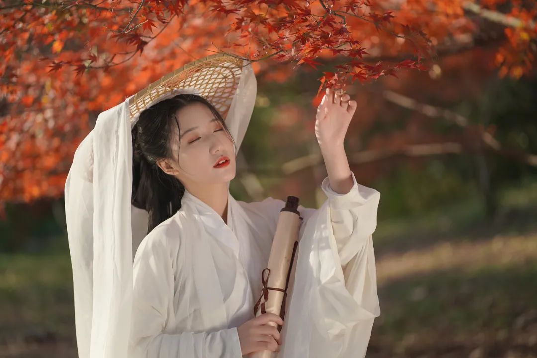 赏秋