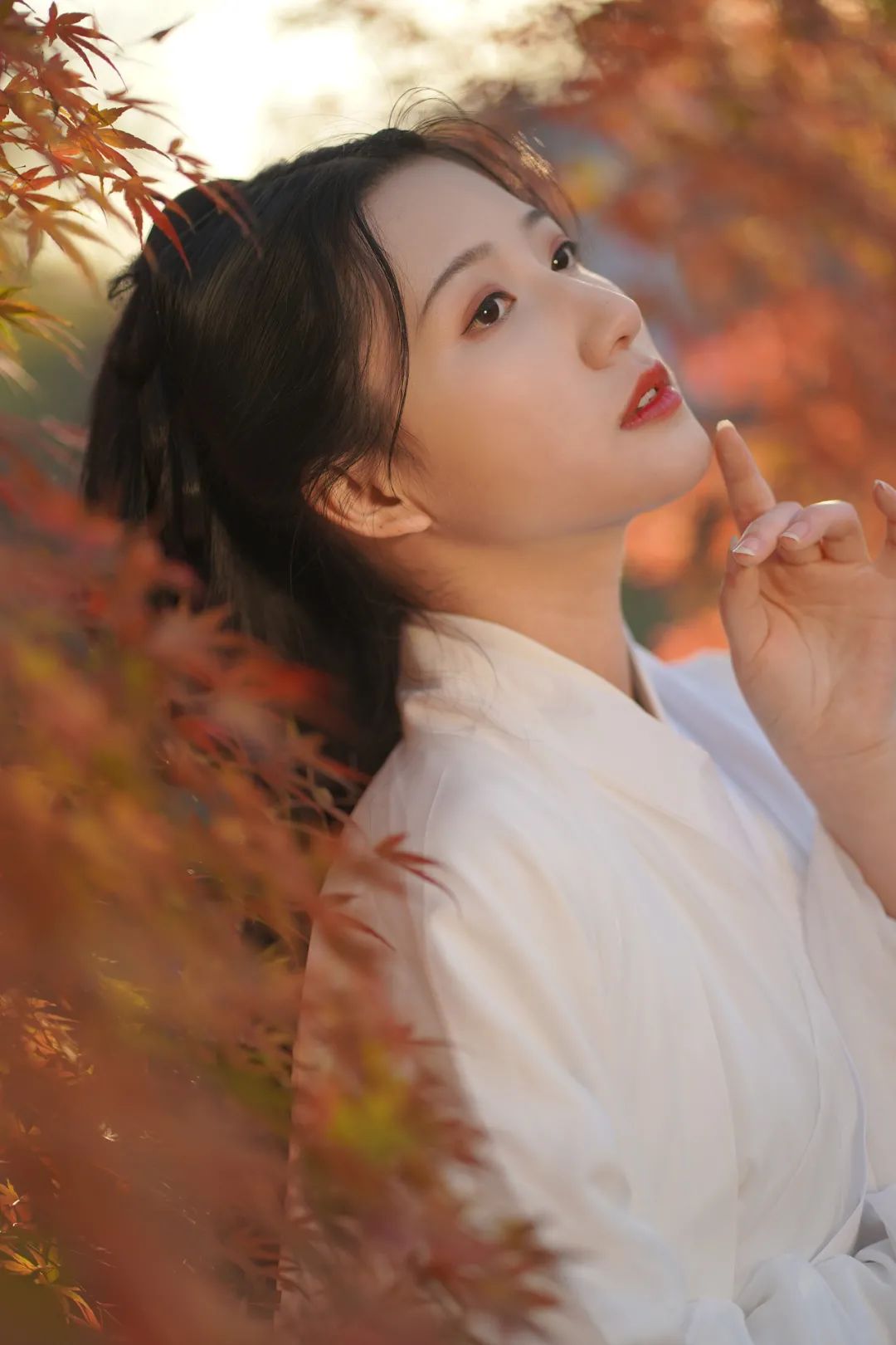 赏秋