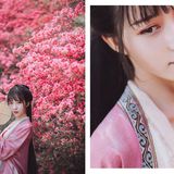 一路山花不负侬