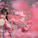 一路山花不负侬