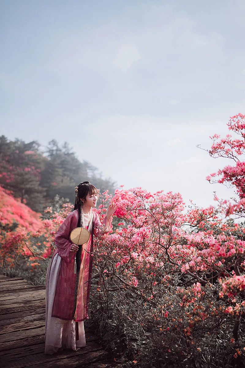 一路山花不负侬