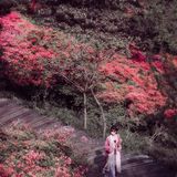 一路山花不负侬