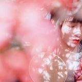 一路山花不负侬