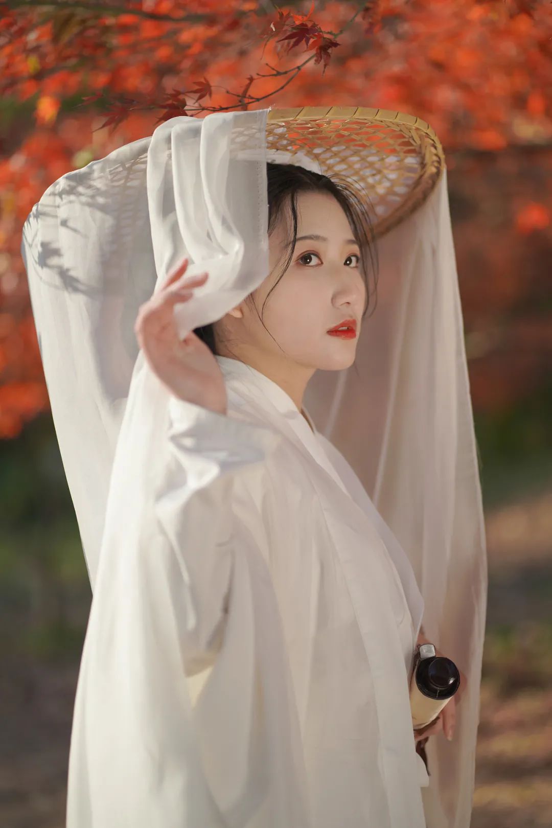 赏秋