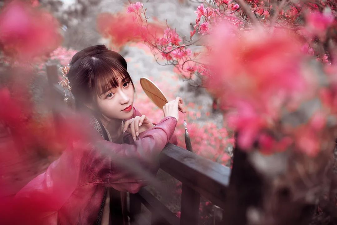 一路山花不负侬