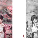一路山花不负侬