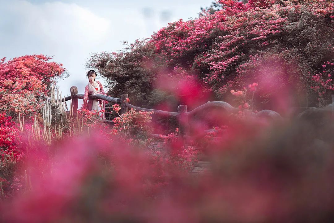 一路山花不负侬