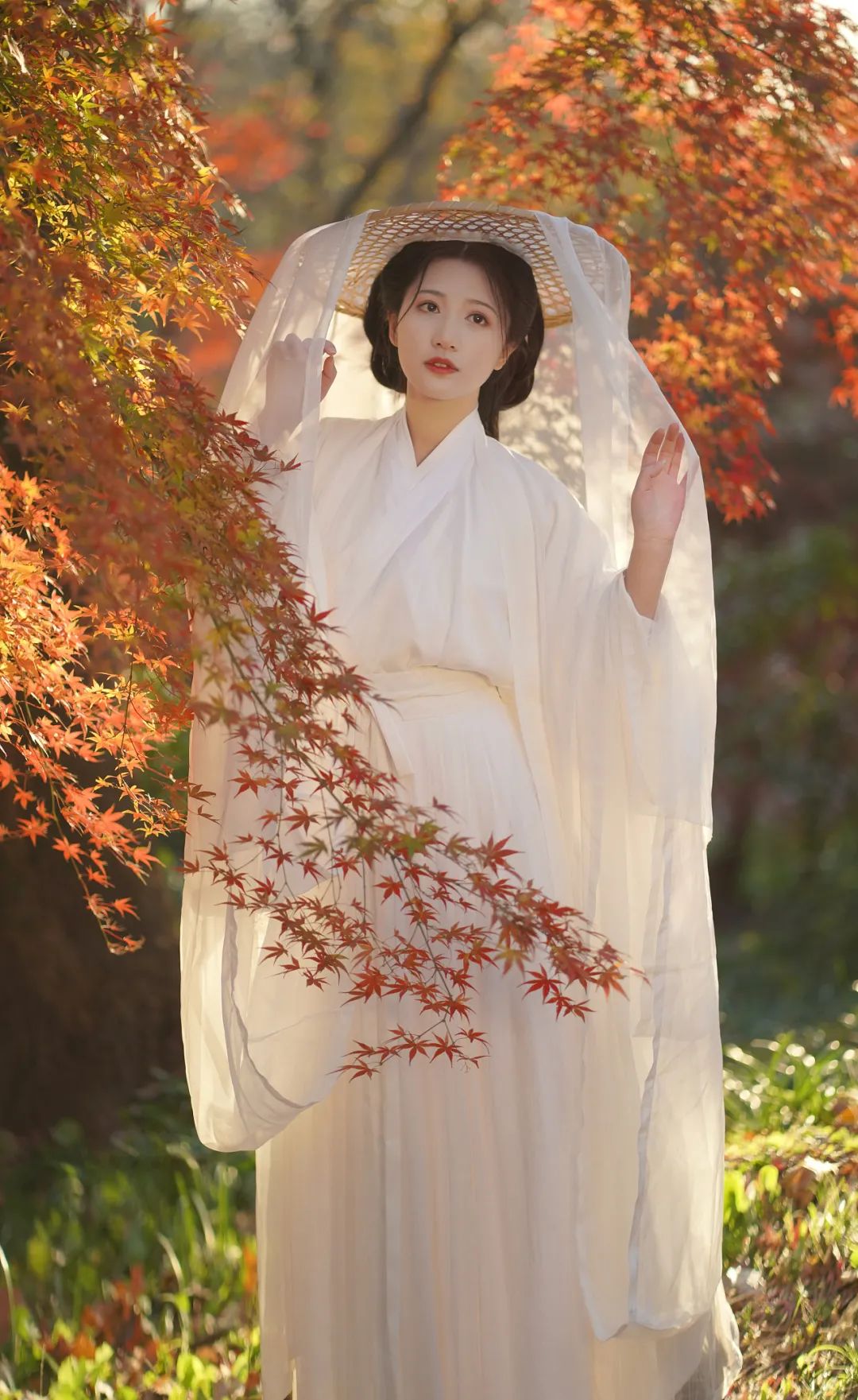 赏秋