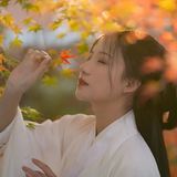 赏秋