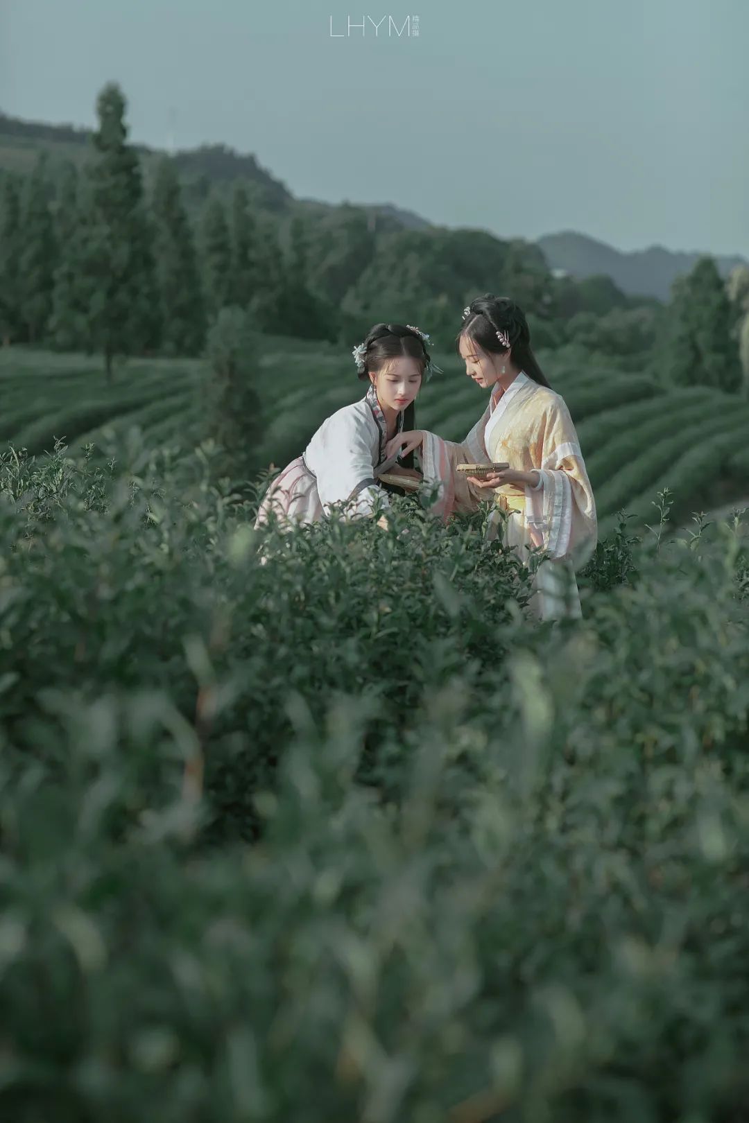 汉服摄影 | 茶语沁