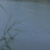 宿雨初霁