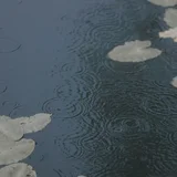 宿雨初霁