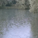宿雨初霁