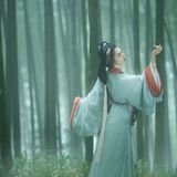 神明之光