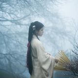 红梅白雪知