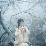 红梅白雪知