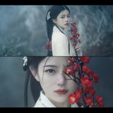红梅白雪知