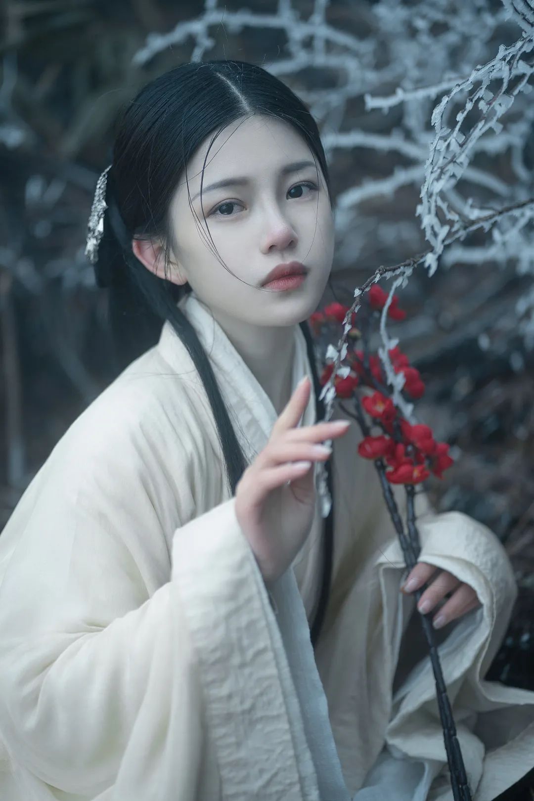 红梅白雪知
