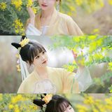 春日合欢花汉服少女写真