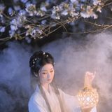 一枕清梦
