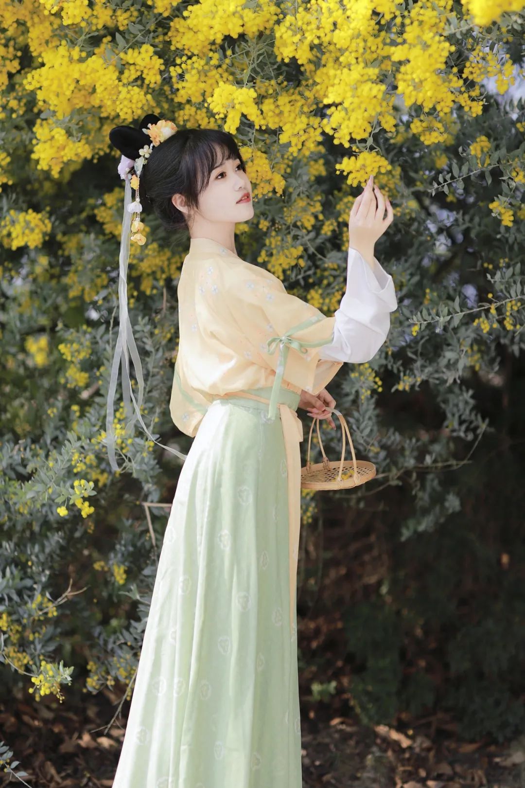 春日合欢花汉服少女写真