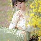 春日合欢花汉服少女写真