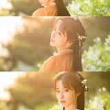 山花烂漫时｜汉服摄影