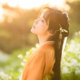 山花烂漫时｜汉服摄影