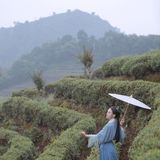 汉服摄影｜山茶