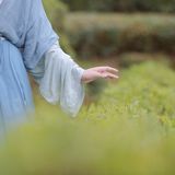汉服摄影｜山茶