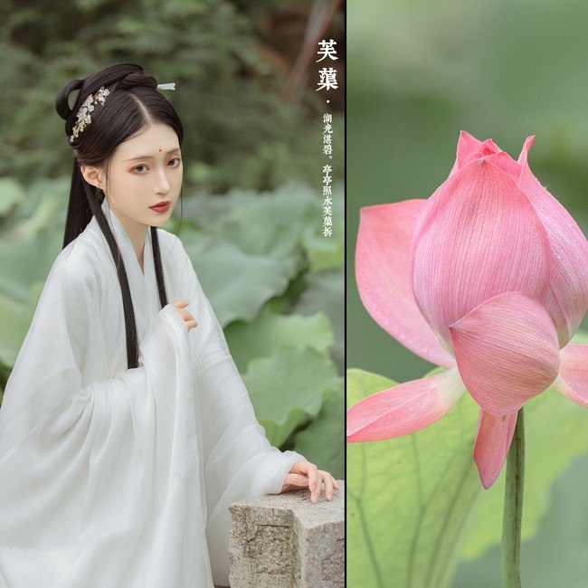 汉服摄影113期｜ 芙渠