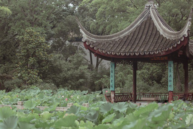 汉服摄影113期｜ 芙渠