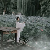 女子持荷叶遮阳
