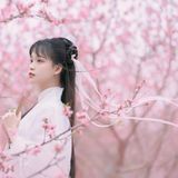 汉服摄影122期｜花仙子
