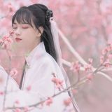汉服摄影122期｜花仙子