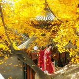 汉服摄影124期｜等不来的秋
