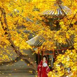 汉服摄影124期｜等不来的秋