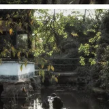 汉服写真 | 一步一景皆入画