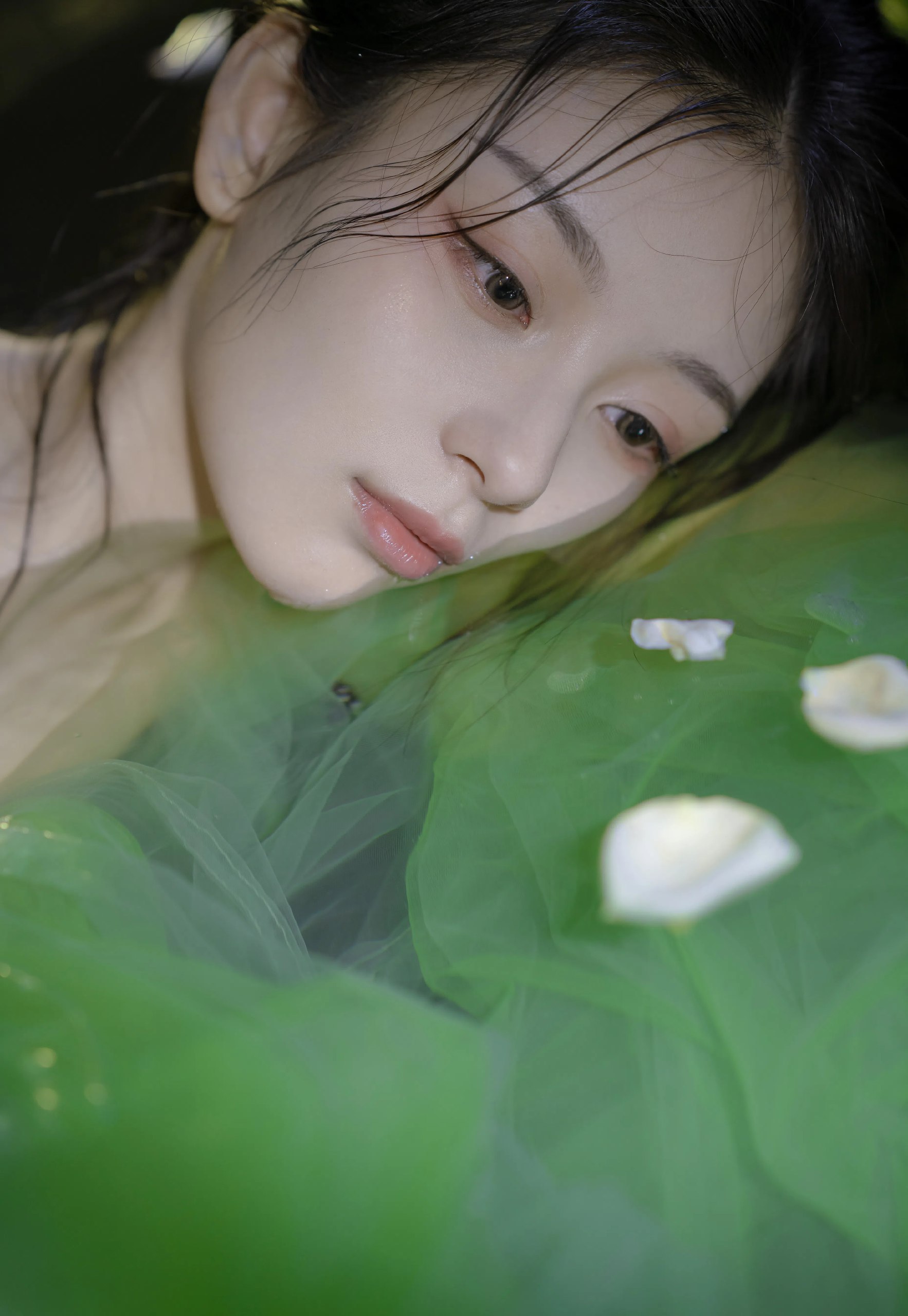 霓裳十二阙｜碧波叠影处自有惊鸿舞