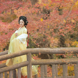 虹桥秋思